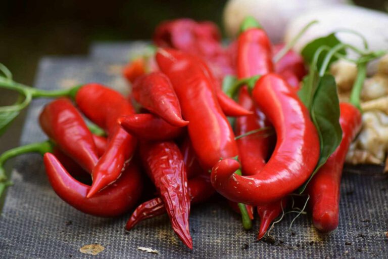 Capsaicin – welche Eigenschaften hat es und in welchen Produkten ist es zu finden?