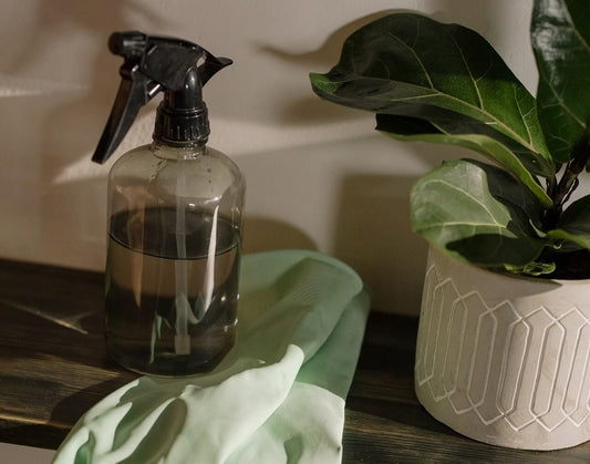 So clean it's green: Ökologischer Frühjahrsputz