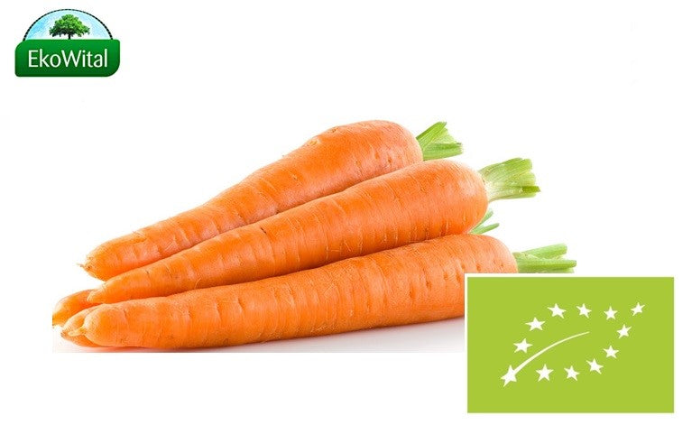 381b912b75ed0057ec9987a8dd6f9003