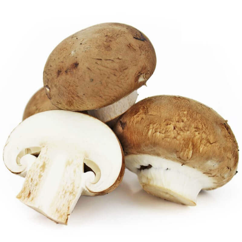 Frische braune Champignons BIO (polnisch) (ca. 250g)