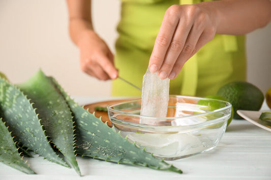 Eigenschaften und Verwendung von Aloe-Gel