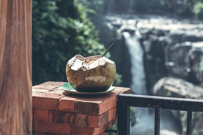 Kokoswasser: ein natürliches isotonisches Getränk und mehr!