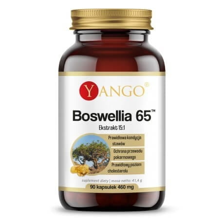 Boswellia 65™ (90 kapselia) Toissijaiskuva