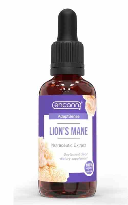 d72310bb4f7e7cbbe92900d1f537511d