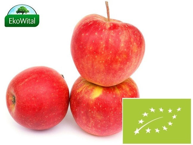 5c43fd6f9d33fe7a990ba34d9eb7b49b