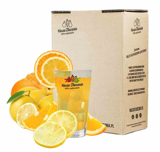 Frische Biogo.de Nasza Tłocznia Orange Zitrone Limonade in 5l Flasche, mit Orangen und Zitronen auf der Verpackung