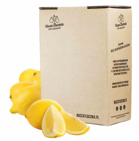 Biogo.de Nasza Tłocznia Saft 100% Zitrone in 3l Flasche, frischer Zitronensaft, gelbe Zitrone, natürliche Zitrusfrüchte