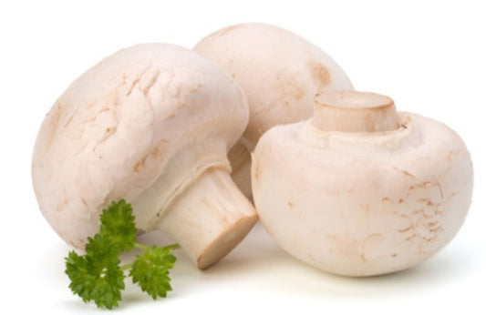 100555c82ece3a6e08c93d32df76fbcf