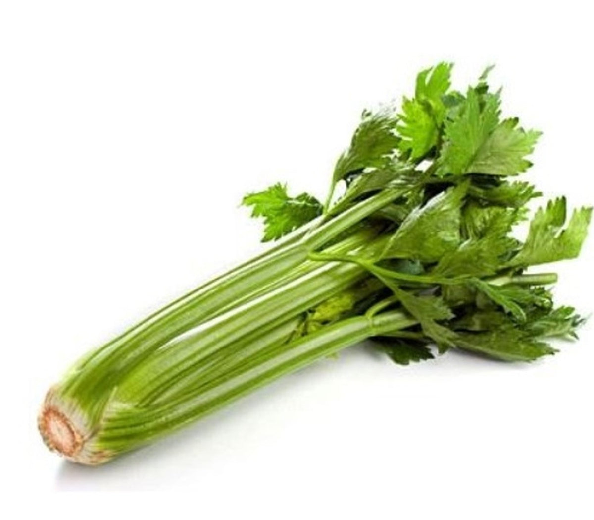 609c444084bc7fa291b628f56450fc9e