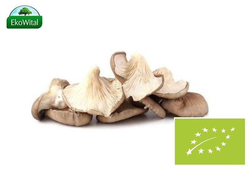 6baba31ca398e6a604762b8efc017a73