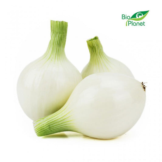 Weiße Bio-Zuckerzwiebeln, frische und saubere Zwiebeln aus biologischem Anbau, auf einem Holztisch präsentiert