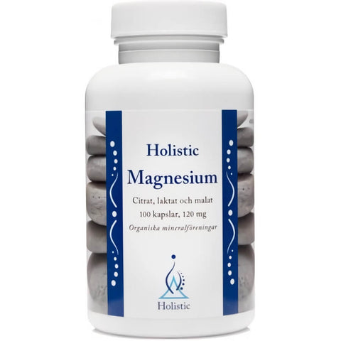 Magnesium Magnesium 120mg 90 Kapseln GANZHEITLICH