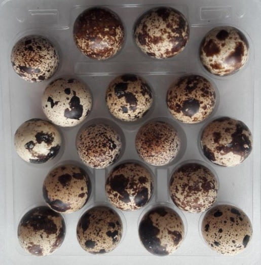 Wachteleier 18 Stk. EKOWITAL Hlavný obrázok produktu