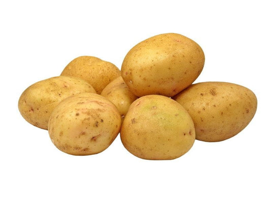 Frische, junge gelbe Bio-Kartoffeln in Großverpackung von BIO PLANET, ca. 10 kg, sichtbar in der Verpackung
