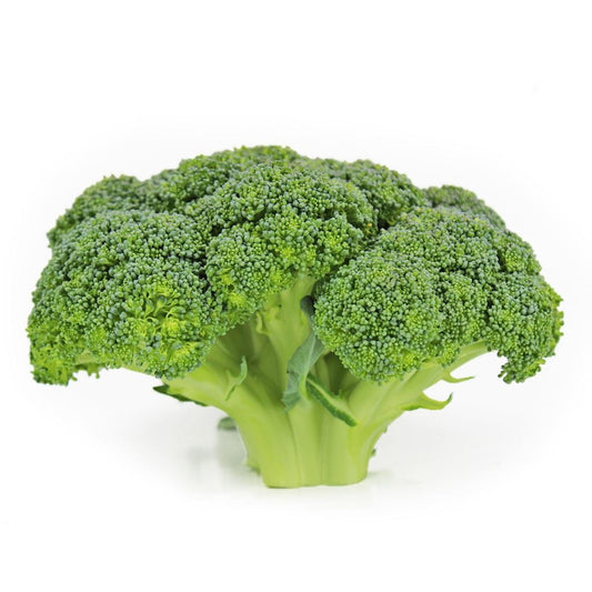 Frische Bio-Brokkoli vom Bio Planet, ca. 0,5 kg, grüner Brokkoli mit Blüten und Stielen, naturbelassen und knackig.