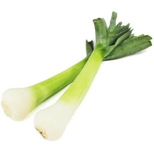 Frisch gefangener BIO-FRISCHLECK von BIO PLANET, ca. 0,20 kg, mit schuppiger Haut und klaren Augen, auf Eis präsentiert.
