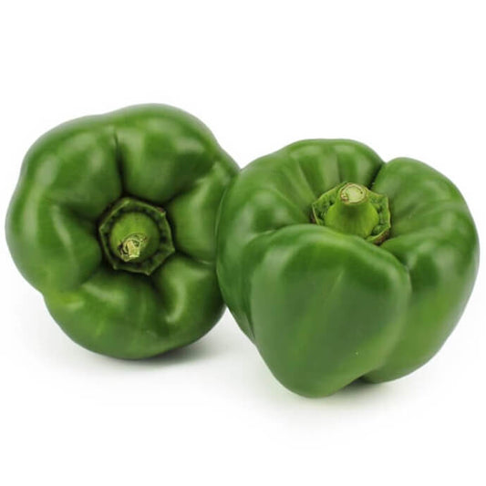 Frischer grüner Bio-Pfeffer von BIO PLANET in einer 0,5 kg Verpackung, Nahaufnahme der Pfefferkörner.