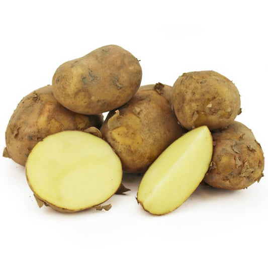Frische weiße Bio-Jungkartoffeln von BIO PLANET, ca. 2 kg, saubere und glatte Kartoffeln in einem Korb.