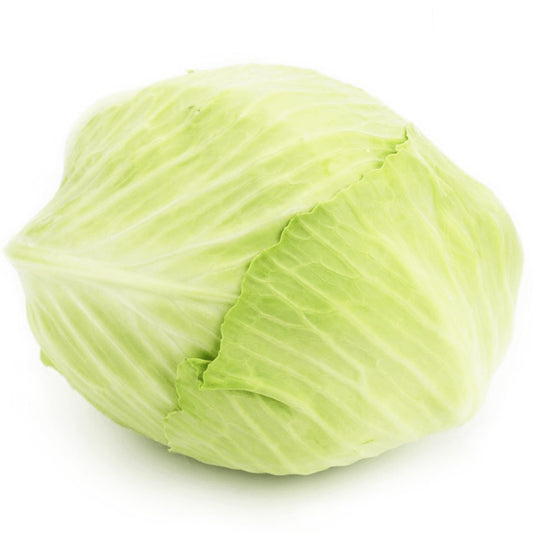 Frischer junger Bio-Weißkohl in Großverpackung von BIO PLANET, ca. 8 kg, mit grünen Blättern und frischer Textur.
