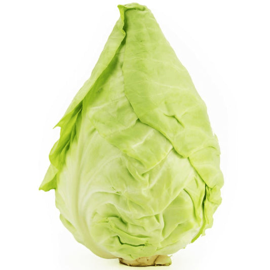 Frischer Bio-Spitzkohl in Großverpackung, ca. 8 kg, von BIO PLANET, mit grünen Blättern und frischer Oberfläche
