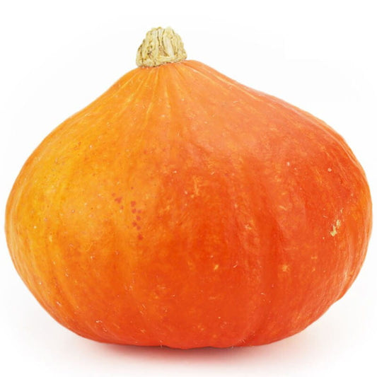 Frischer BIO PLANET Hokkaido-Kürbis, ca. 1 kg, mit orangefarbener Schale und runder Form, ideal für Herbstgerichte.