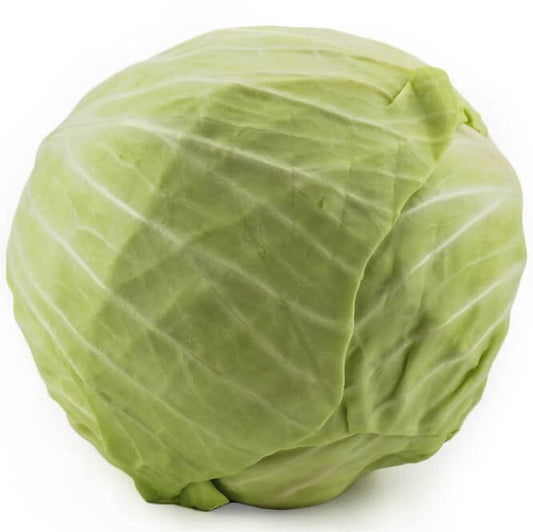 Frischer Bio-Weißkohl in 10 kg Großgebinde, BIO PLANET, mit grünen Blättern und festem Kopf auf weißem Hintergrund