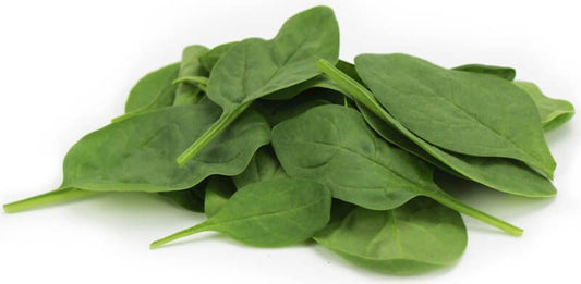 Frischer, ungewaschener Bio-Spinat in Großverpackung (ca. 2 kg) von BIO PLANET, grüne Blätter, ideal für gesunde Gerichte