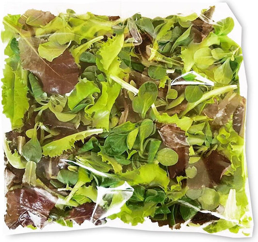 Frischer BIO PLANET Bio-Salatmix, ungewaschen, ca. 0,250 kg, mit grünen Blättern und zarten Salatblättern.