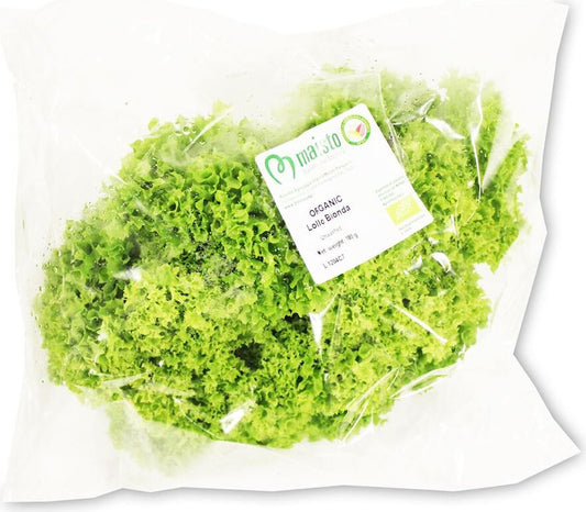 Frischer BIO Lollo Biondo Salat in Großverpackung, ca. 4 Stück, von BIO PLANET, mit grünen, gewellten Blättern.