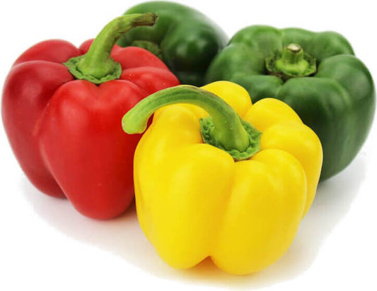 Bunte frische BIO PLANET Paprikamischung in 800 g Packung, zeigt rote, gelbe und grüne Paprika.