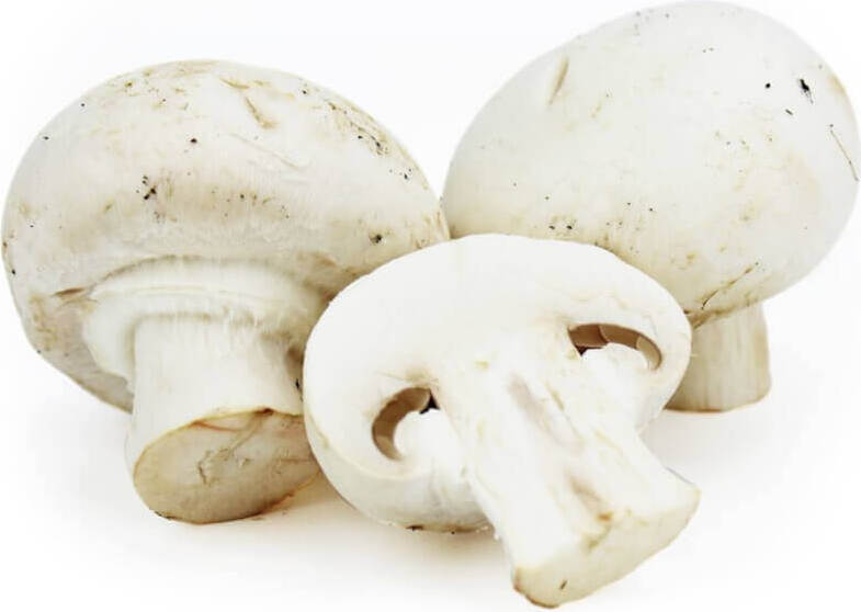 Frische weiße Champignons BIO (polnisch) (ca. 250g) Gambar utama produk