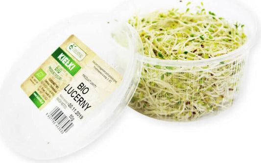 Biologische Frische Lucerna in 50 g Packung, von BIO PLANET, grünes frisches Luzernasalatblatt, ideal für gesunde Ernährung