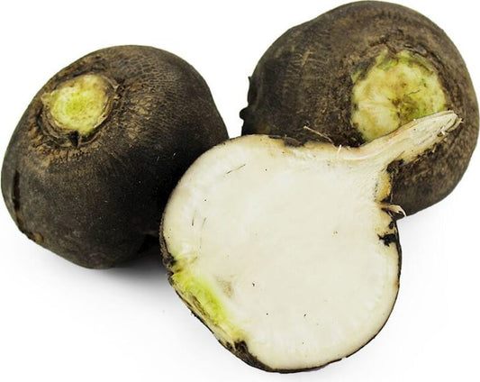 Bio Schwarzkleeß Multipack von BIO PLANET, ca. 5 kg, frische, getrocknete schwarze Klee-Samen für nachhaltige Landwirtschaft.