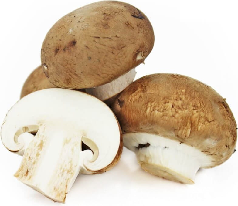 Großpackung (kg) - frische braune Champignons BIO (polnisch) (ca. 3 kg)