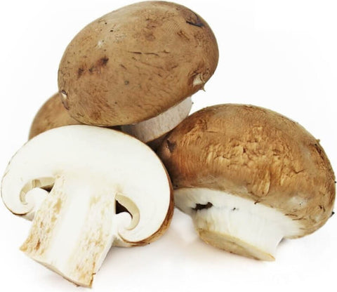 Großpackung (kg) - frische braune Champignons BIO (polnisch) (ca. 3 kg)