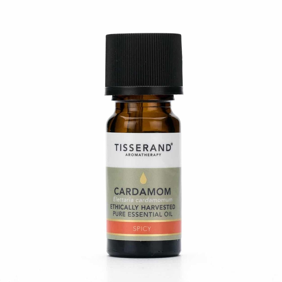 Kardamom ethisch geerntetes Kardamomöl 30 ml TISSERAND