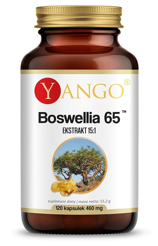 Boswellia 65 Kapseln von YANGO, natürliche Ergänzung, zeigt die Kapseln in einer weißen Packung vor hellem Hintergrund