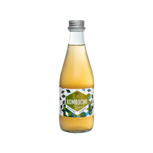 Bio Sencha Kombucha von KOMBUCHA BY LAURENT in 330 ml Flasche mit grünen Teeblättern und spritzigem Getränk.