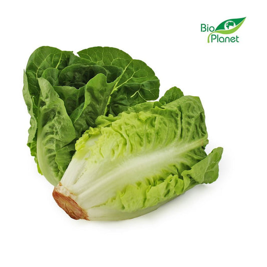 Rabatt frischer Mini-Römersalat BIO (ca. 0,40 kg) - Biogo.de