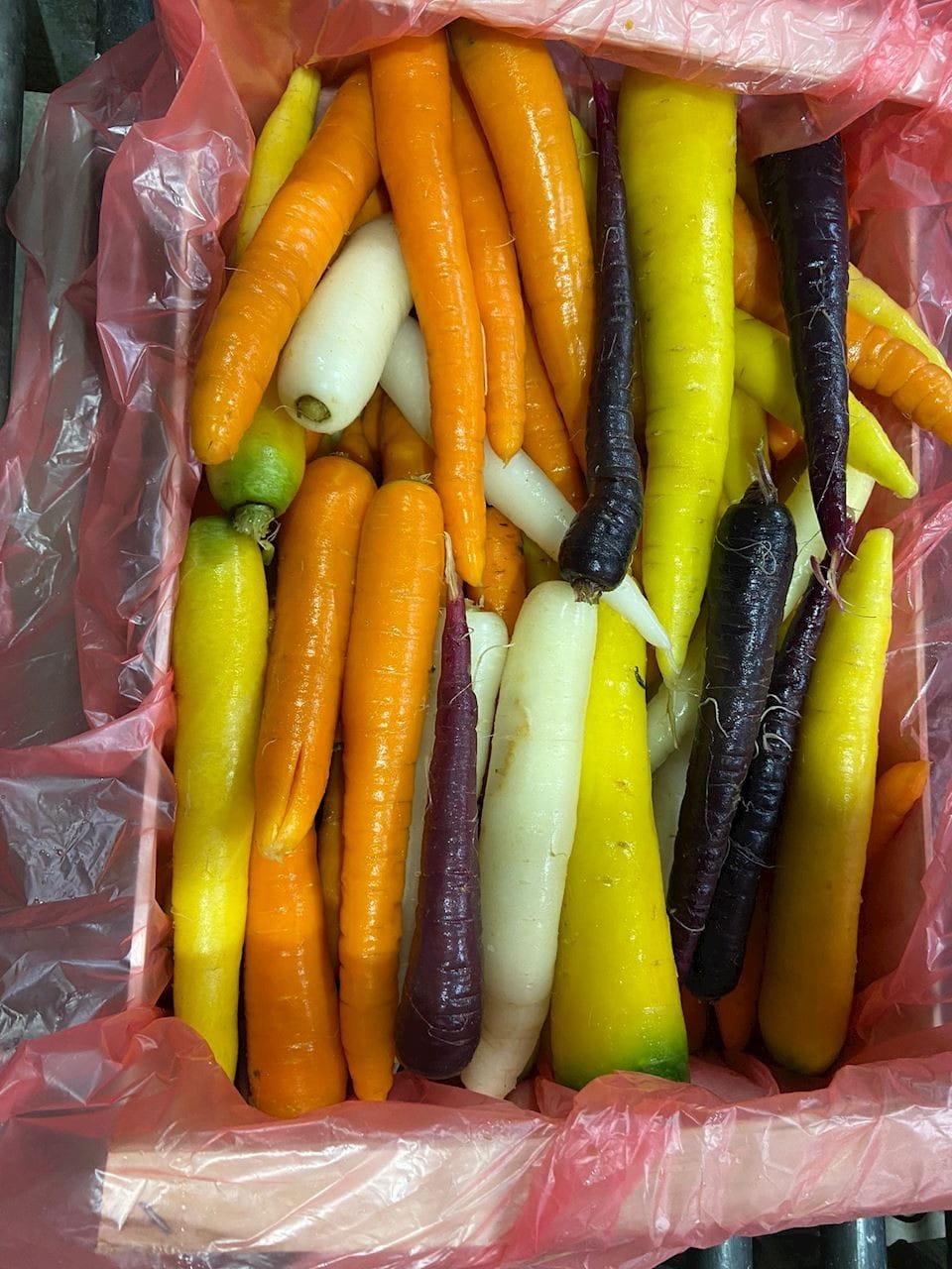 MULTIPACK (kg) - COLORFUL CARROTS YOUNG FRESH ORGANIC (approx. 6 kg)
